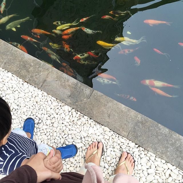 Morning walk. Hellooo friday!!